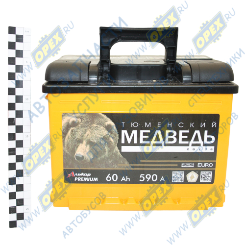 4607175 659895 Аккумулятор (АКБ) прямая полярность 60 а/ч 242х175х190; 590А Тюменский медведь1